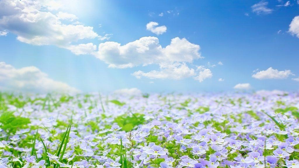 forgetmenots-saying-goodbye-e1518785177633-1024x576